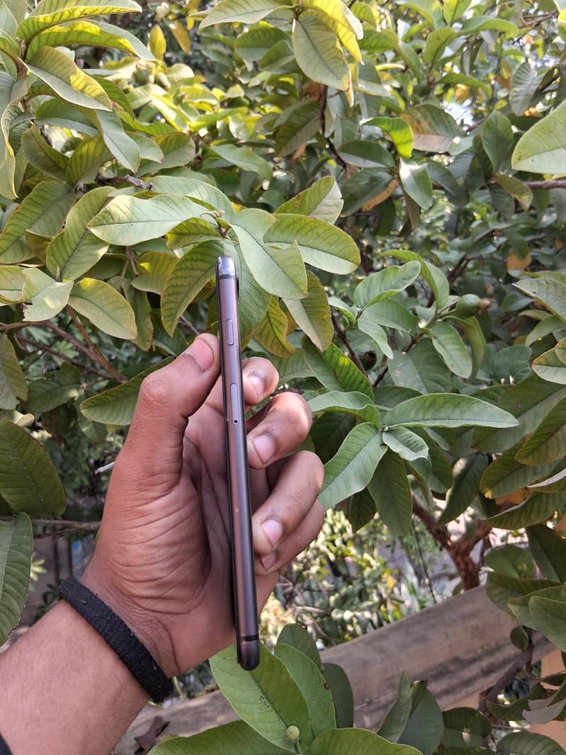 Apple iPhone 8 Plus SIM GLITCH 1