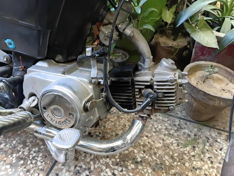 unique C70 1