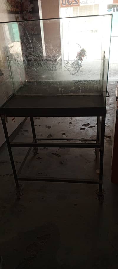 counter