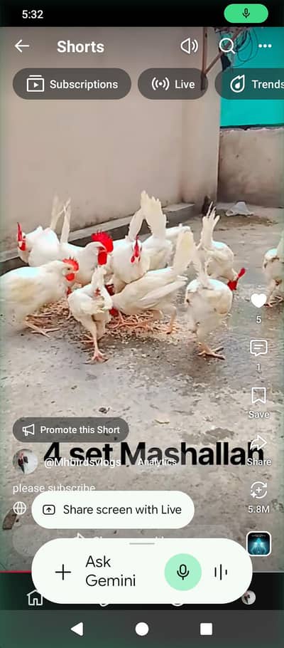 sab male hain