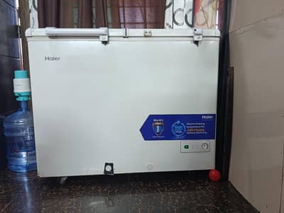 double door freezer