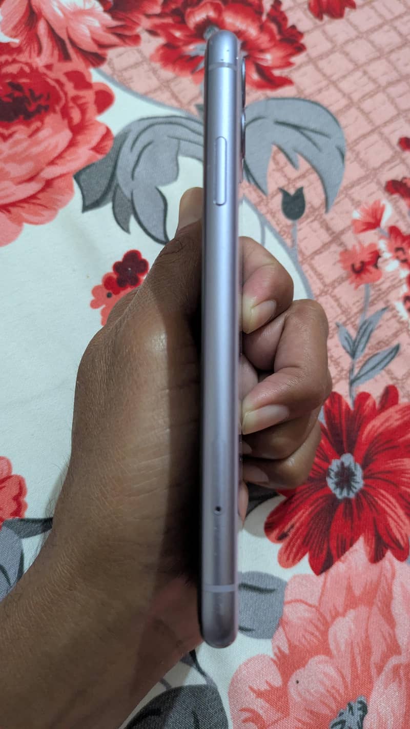 Apple iPhone 11 1