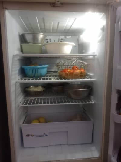pel refrigerator for sale