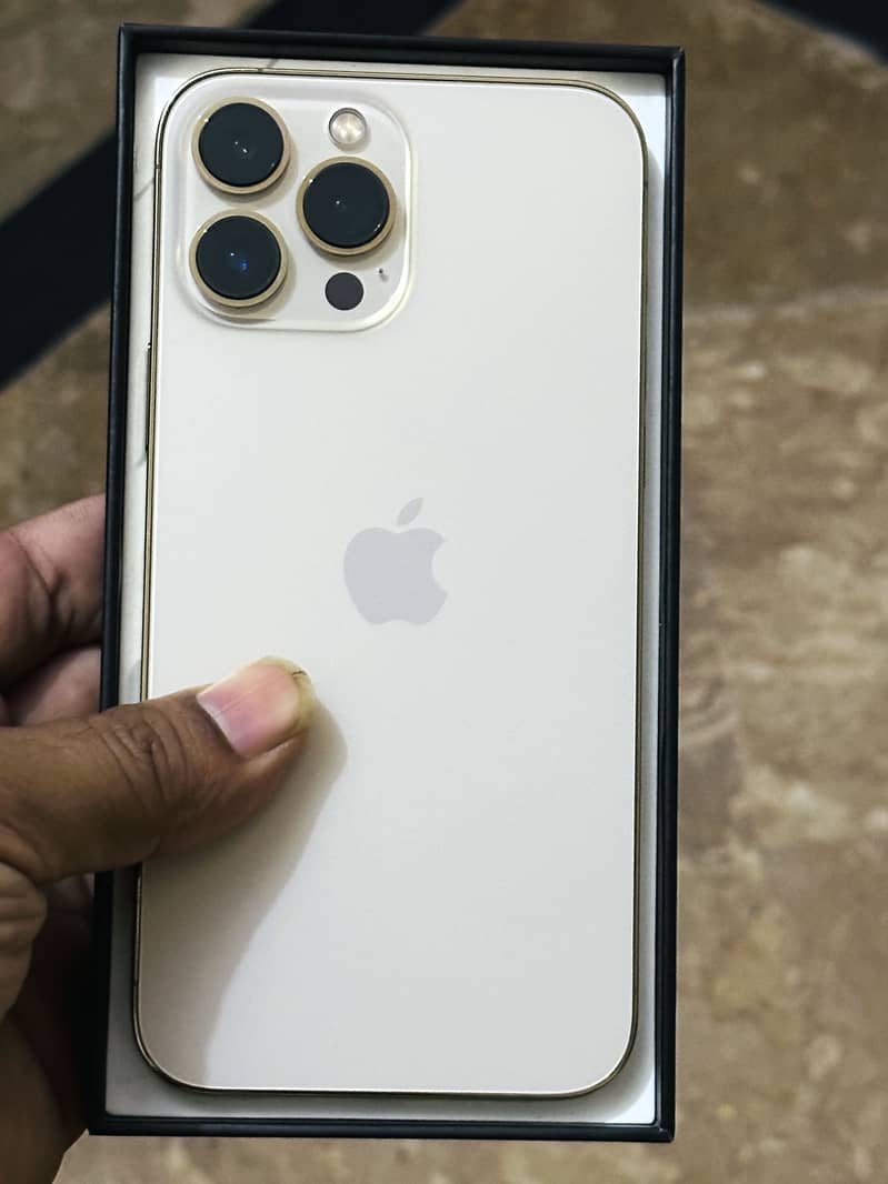 Apple iPhone 13 Pro Max 1