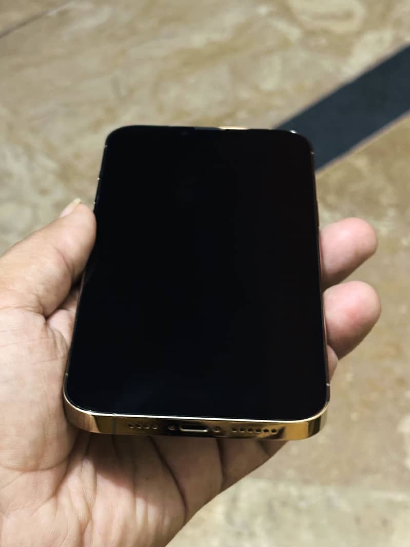 Apple iPhone 13 Pro Max 2