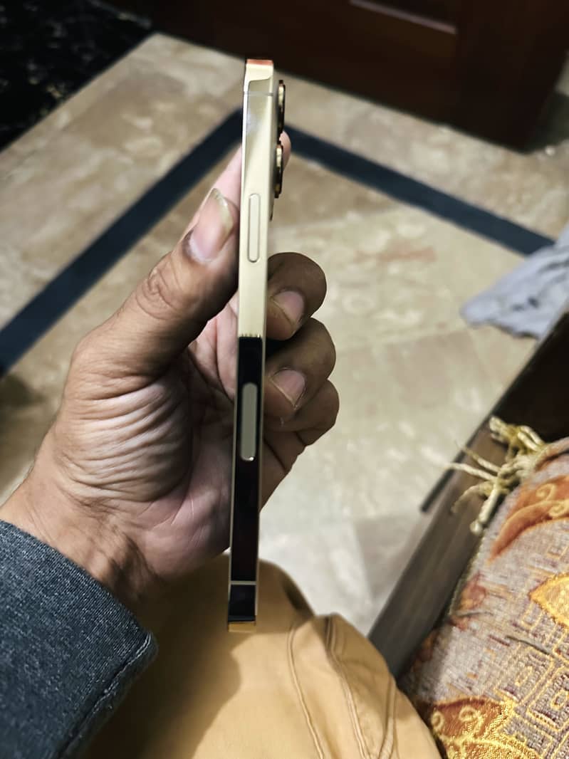 Apple iPhone 13 Pro Max 4