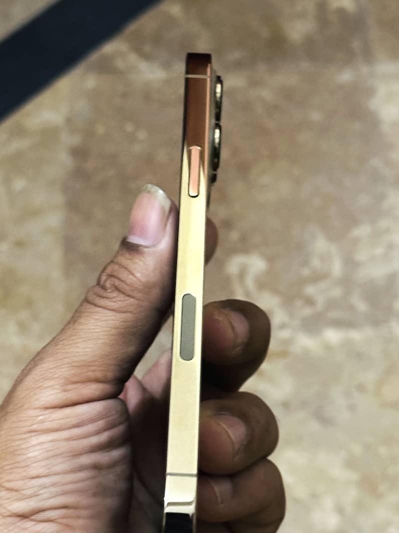 Apple iPhone 13 Pro Max 5