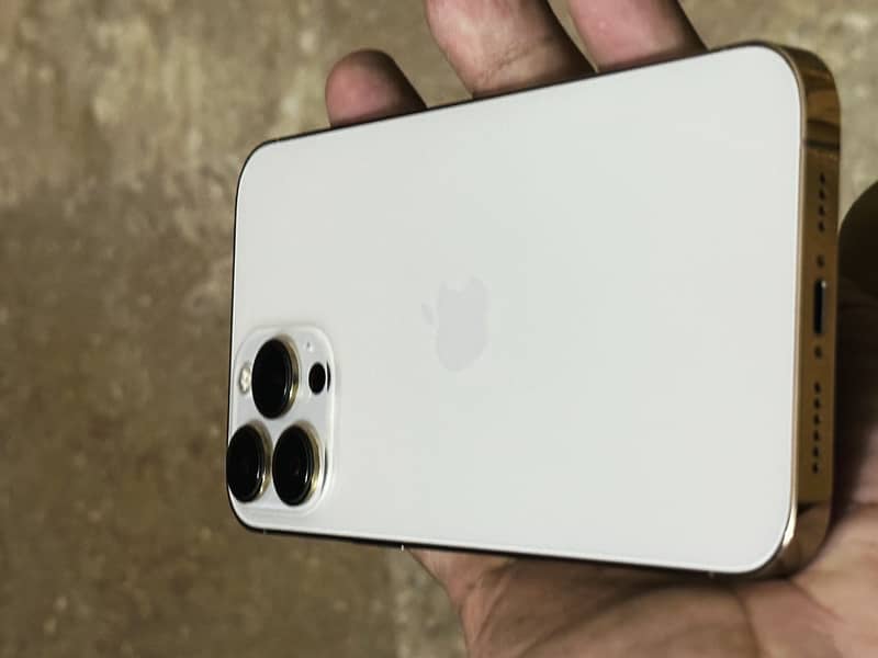 Apple iPhone 13 Pro Max 6