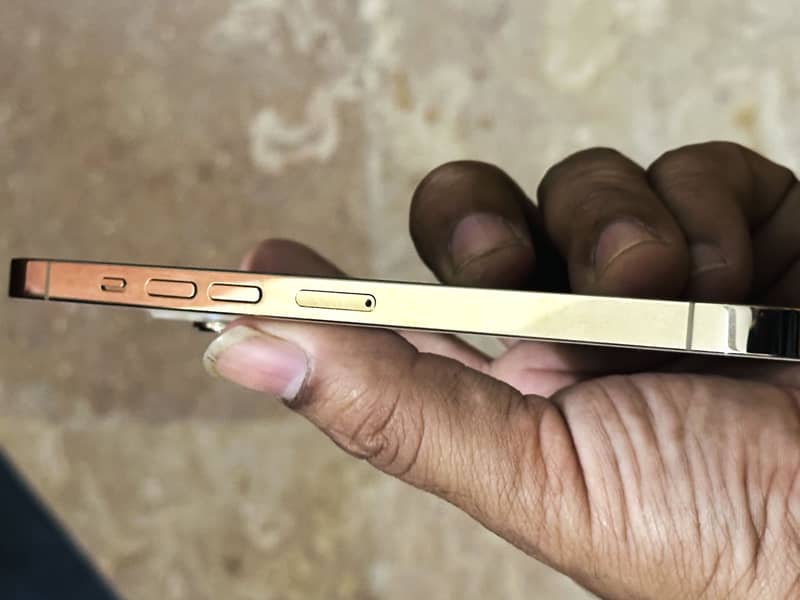 Apple iPhone 13 Pro Max 9