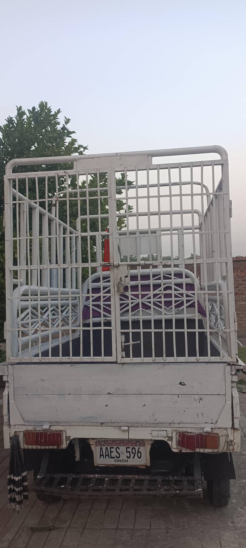pickup jangla 1