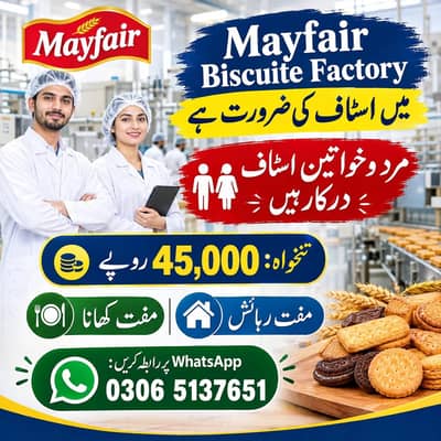 Nimko packing job male female urgent hiring staff required