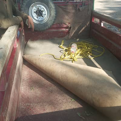 New Asia loader model 2022 used like a new
