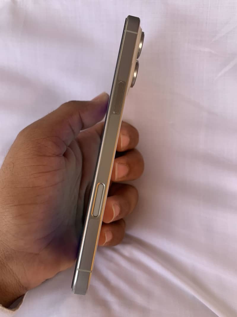 Apple iPhone 16 Pro Max 1