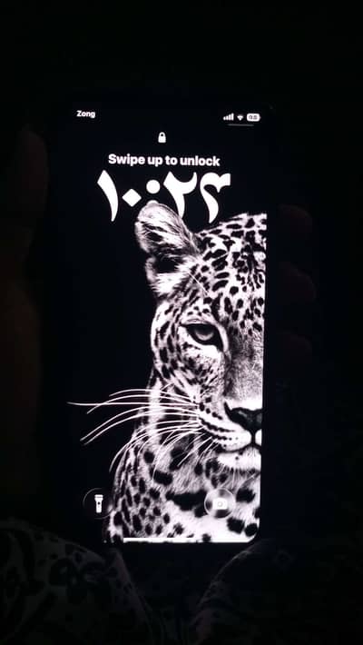 Apple iPhone 11 Pro factory unlock exchange possible