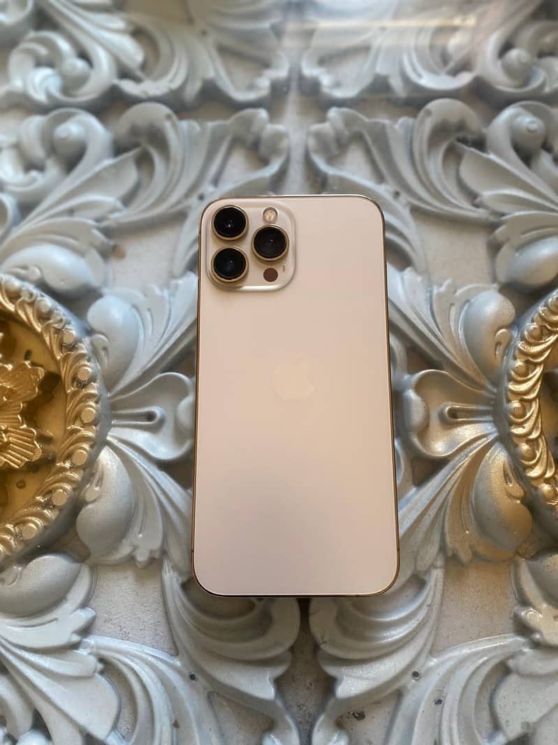Apple iPhone 13 Pro Max 0