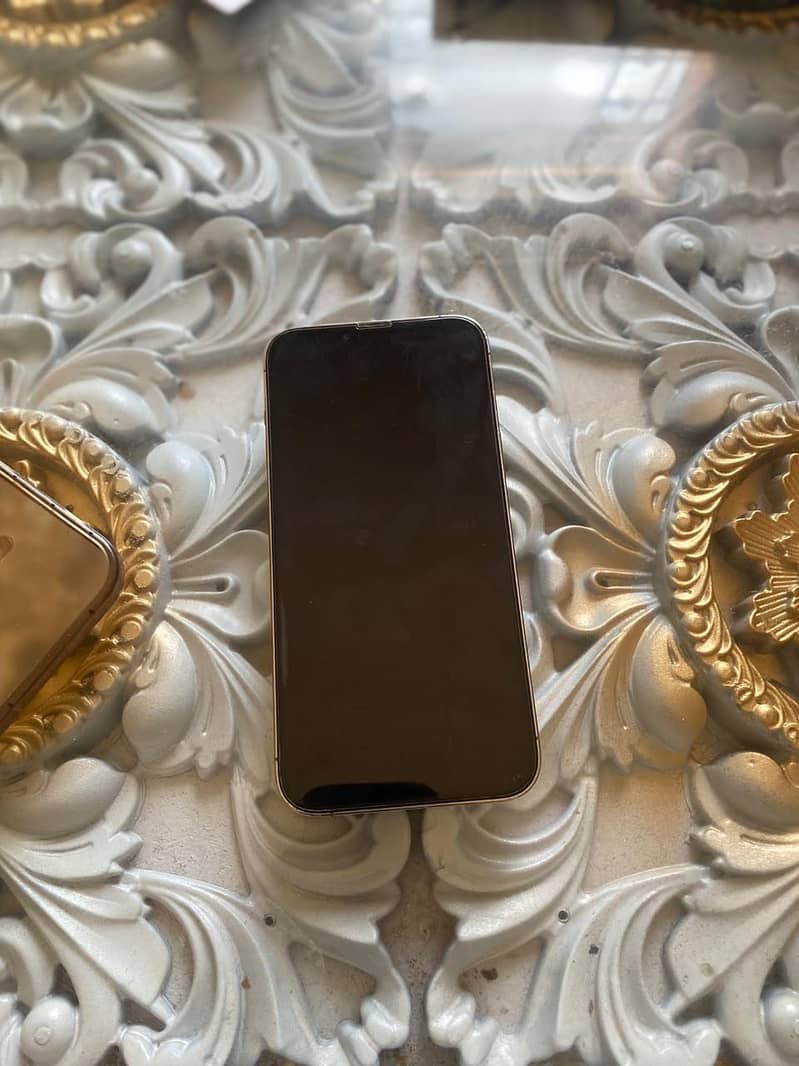 Apple iPhone 13 Pro Max 1