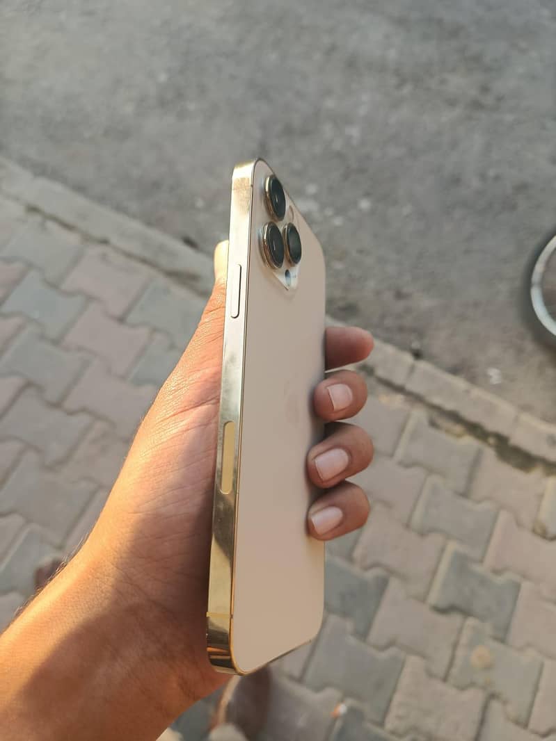 Apple iPhone 13 Pro Max 2