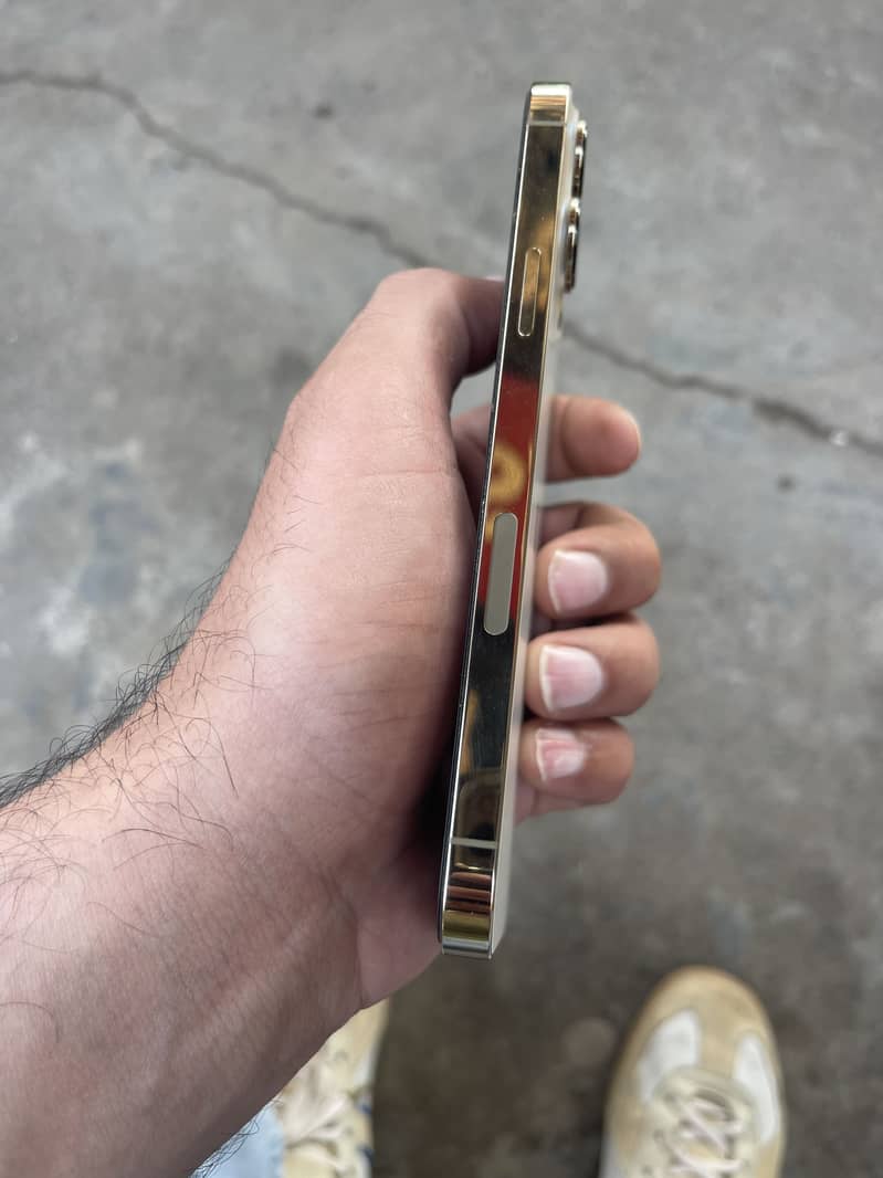 Apple iPhone 13 Pro Max 1