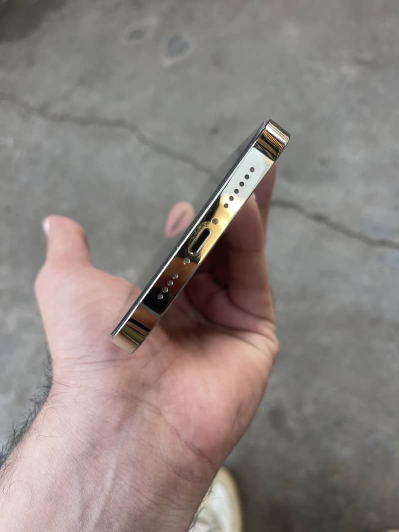 Apple iPhone 13 Pro Max 4