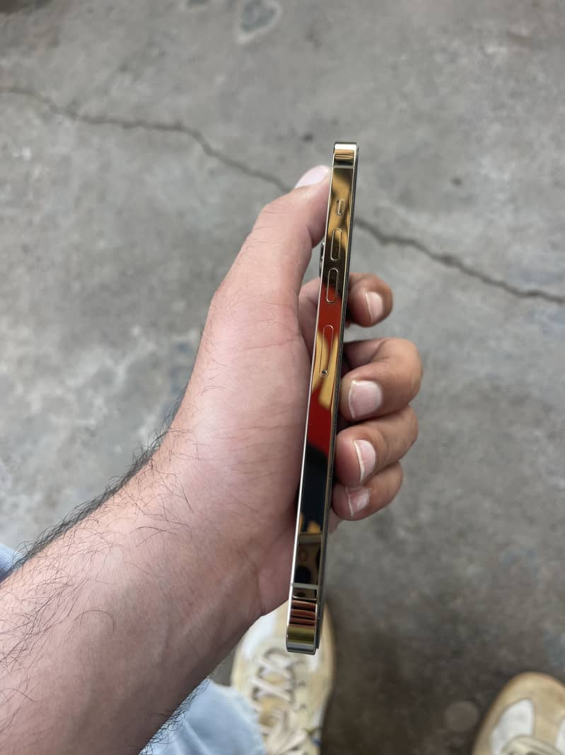 Apple iPhone 13 Pro Max 5