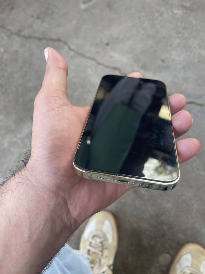 Apple iPhone 13 Pro Max 6