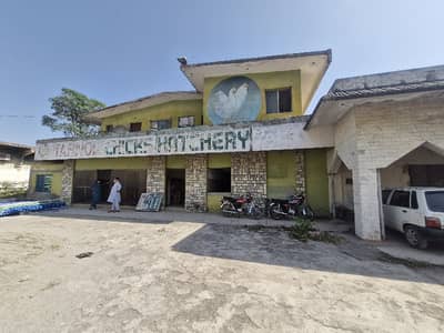 3 Kanal Factory Available For Rent