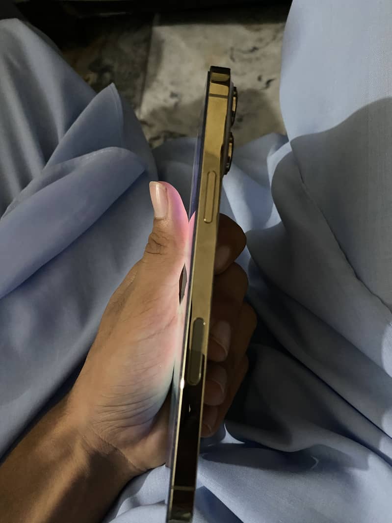 Apple iPhone 13 Pro Max 4