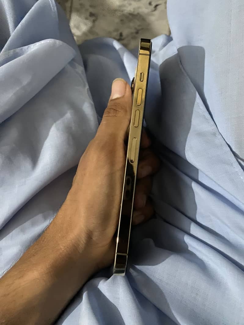 Apple iPhone 13 Pro Max 6