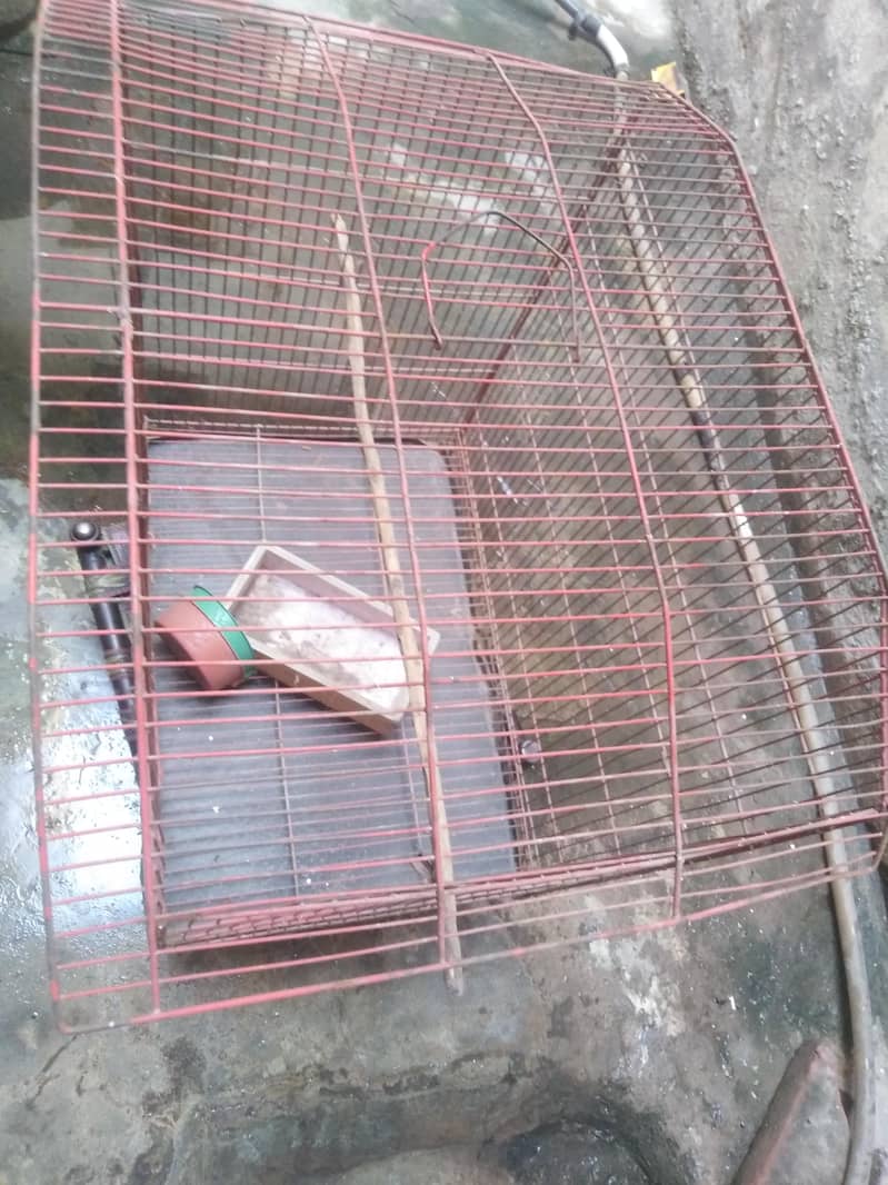 bird cage 0