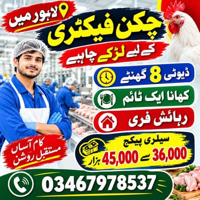 Chicken factory