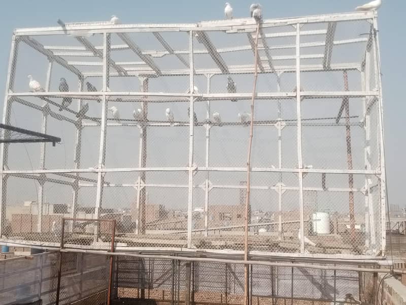 20000 1
