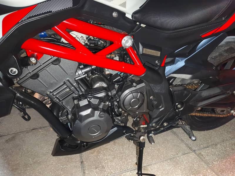 Benelli 302s 9