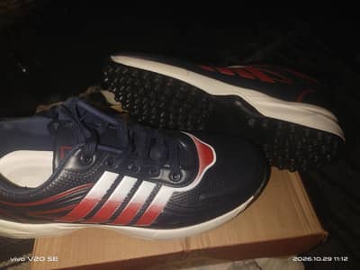 new shoes