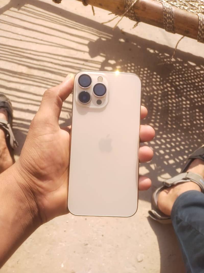Apple iPhone 13 Pro Max 1