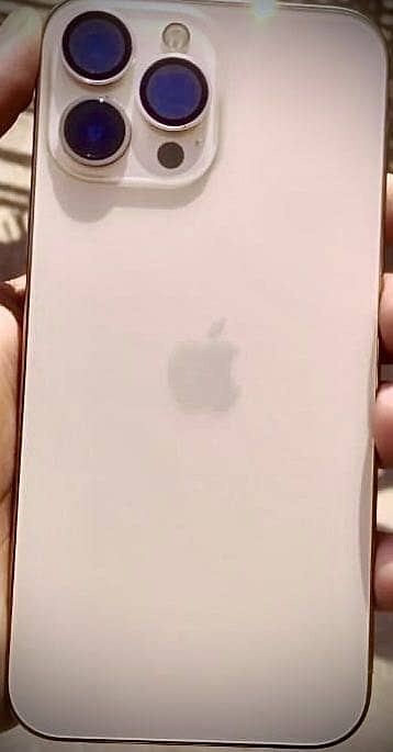 Apple iPhone 13 Pro Max 6