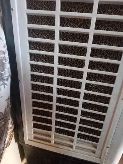 Air cooler