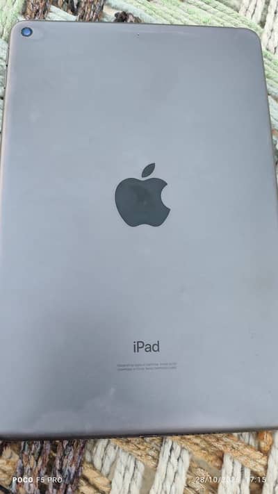 iPad mini 5