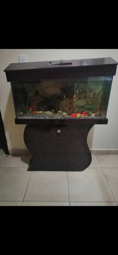 Fish Aquarium with 13-14 Fishes and Accessories