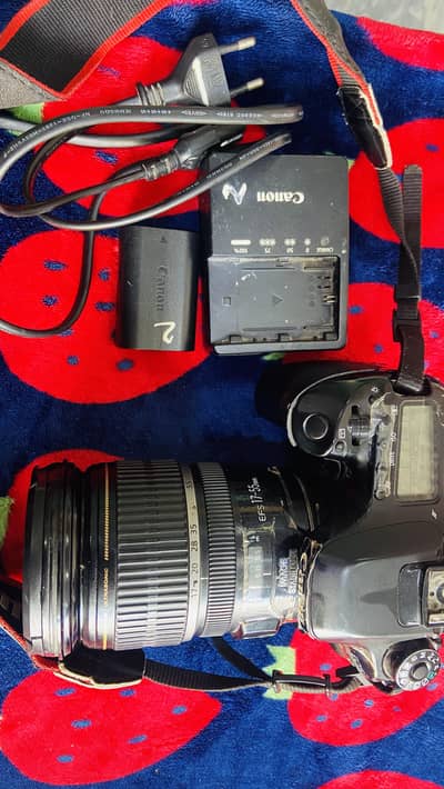 Canon 80D + 17-55mm f/2.8 IS USM