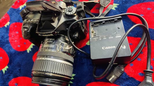 Canon 80D + 17-85mm