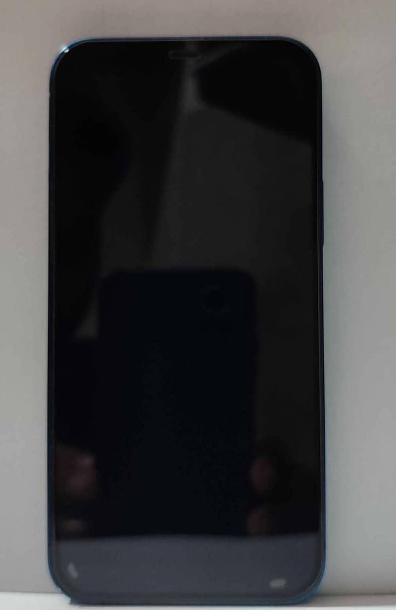 Apple iPhone 12 1
