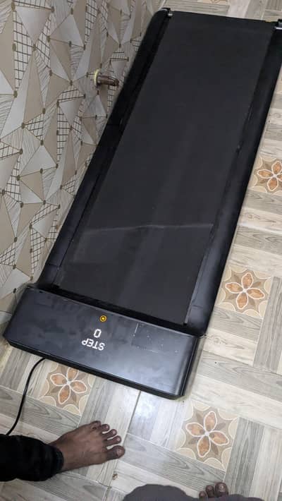 walking belt