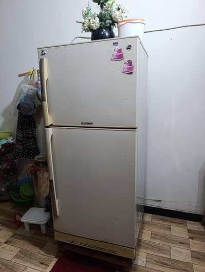 urgent Pel fridge