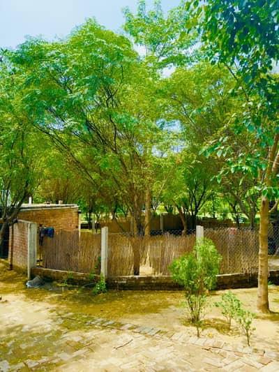 7 KANAL COMMERCIAL INDUSTRIAL WAREHOUSE LAND AVAILABLE FOR SALE