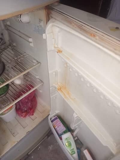 fridge used