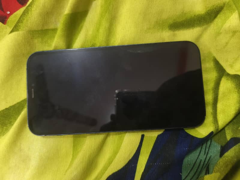 Apple iPhone 12 1
