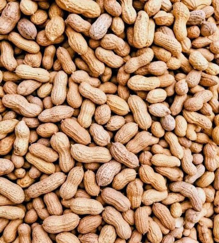 مونگ پھلی 1