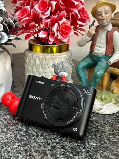 Sony wx350 4k
