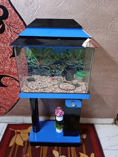fish aquarium for sale with motor
