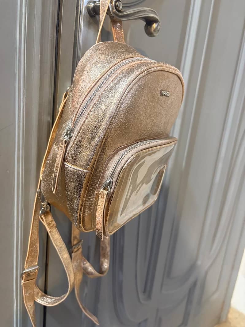 Gap silver backpack 8